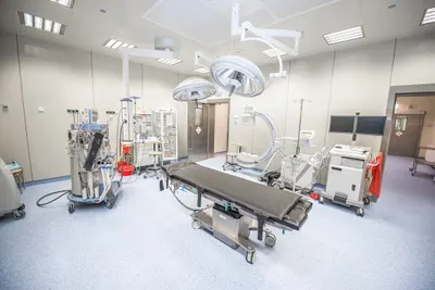 Polsko-Amerykańskie Kliniki Serca w Dąbrowie Górniczej, Grupa American Heart of Poland